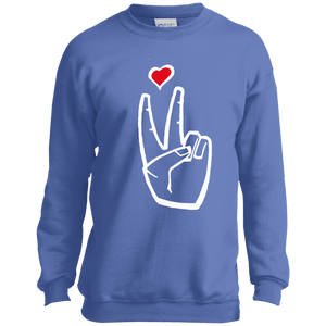 LoveAbove Youth Sweatshirt