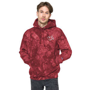 LoveDove Unisex Champion tie-dye hoodie