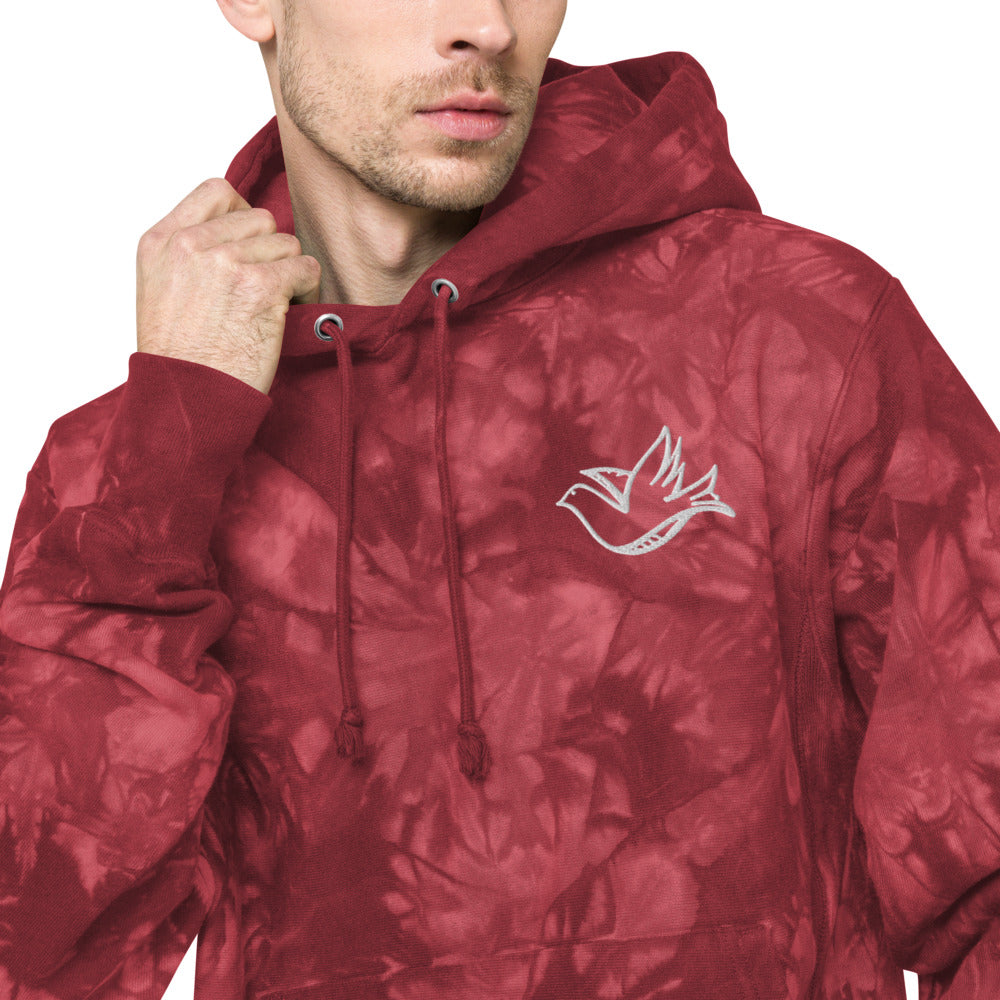 LoveDove Unisex Champion tie-dye hoodie